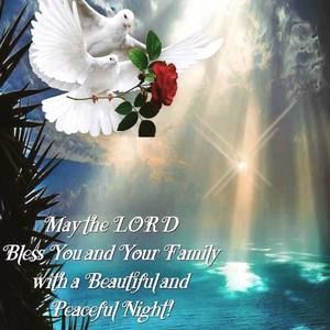 Meet your Posher, Elva